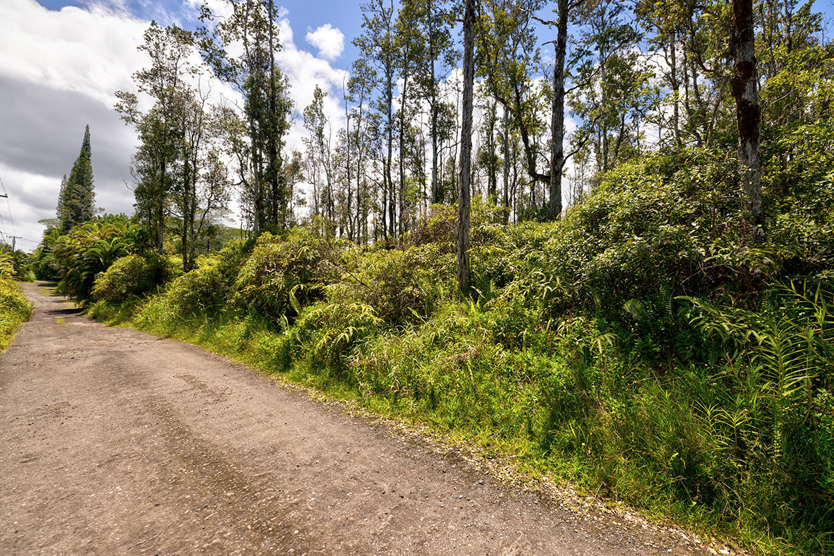 73 Nanawale Farms Road Pahoa, HI 96778 - Photo 7 of 15 a view of a yard with plants and trees