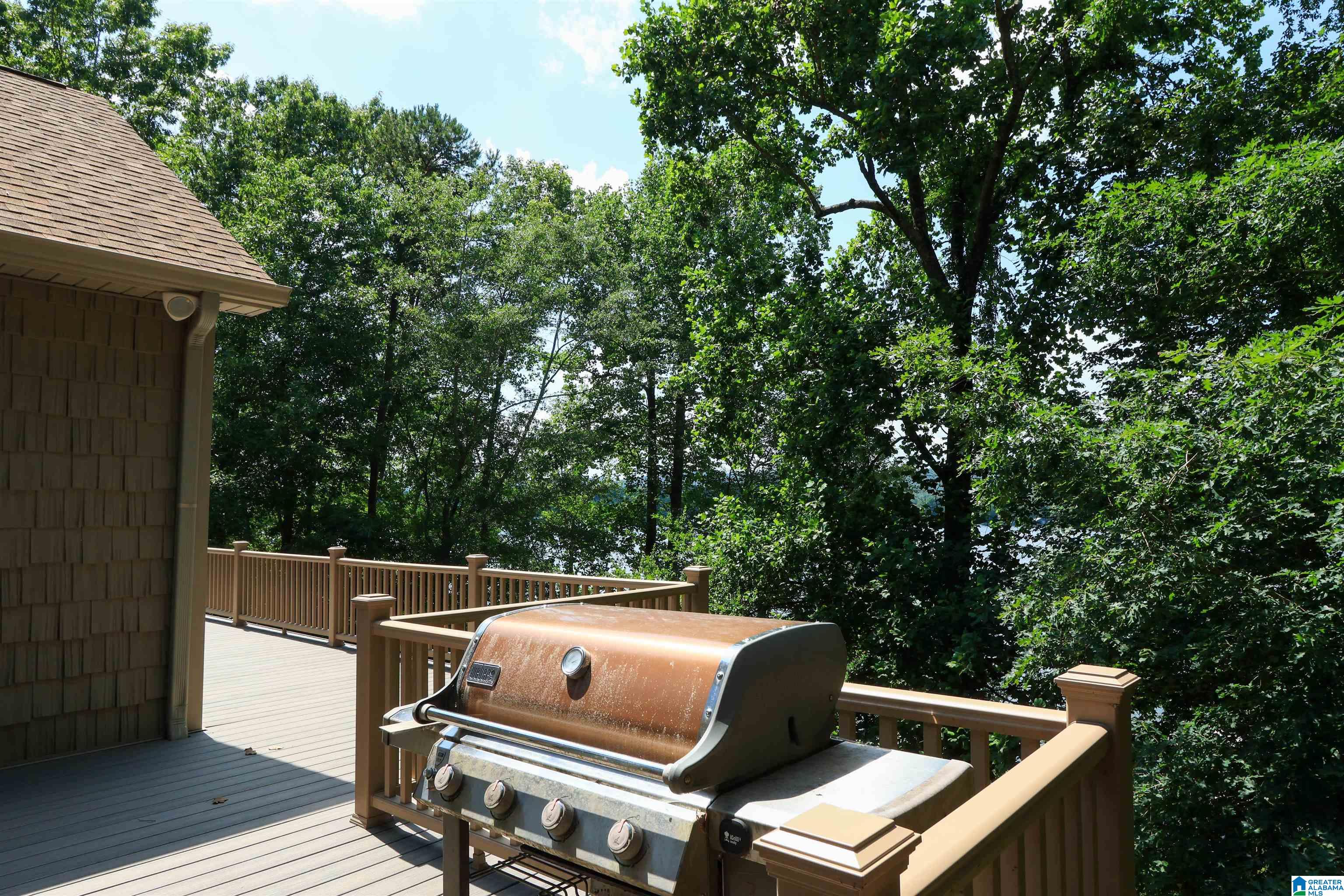 318 Boulder Point Lane Ohatchee, AL 36271 - Photo 14 of 100