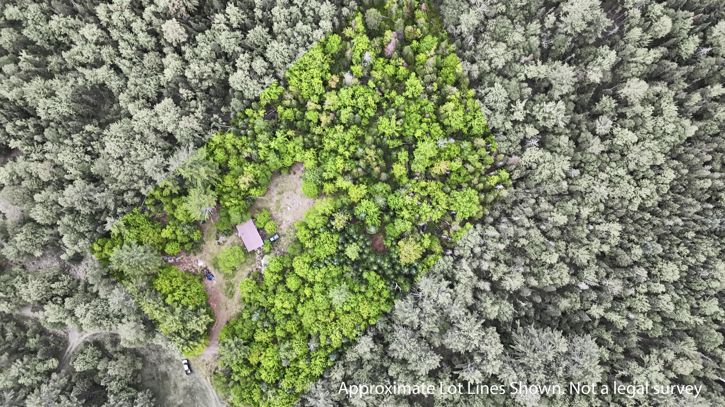 M2-l21-3 South Ridge Road Palmyra, ME 04965 - Photo 7 of 7 363_s_ridge_rd_vacant_lot_2-lot lines
