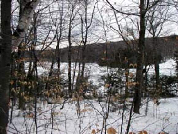 0 Bradley Lake Road Andover, NH 03216 - Photo 1 of 1 Gallery Image 1