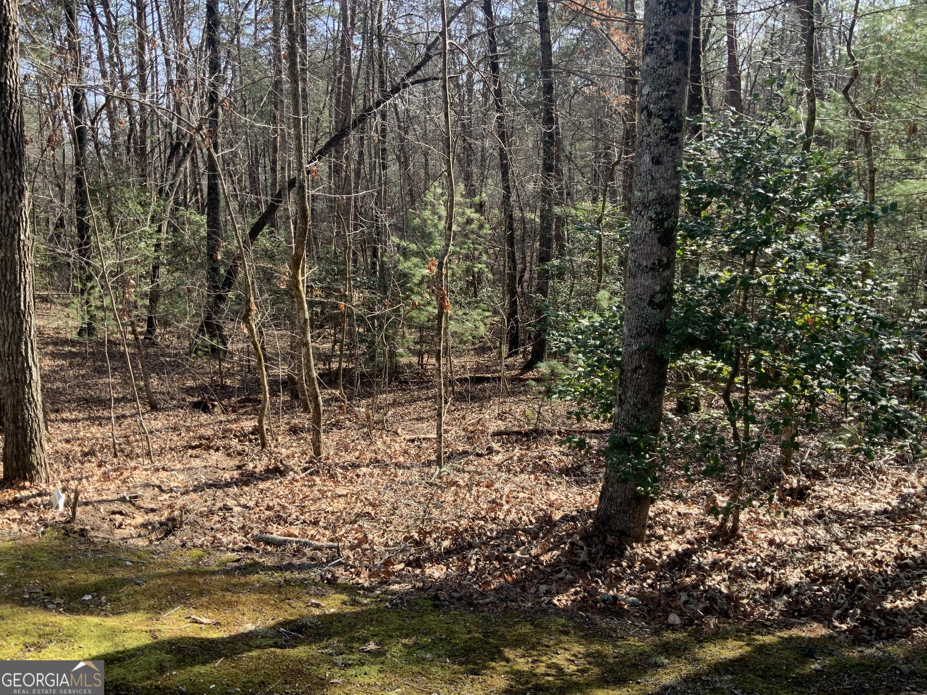 3 Rizzitello Lane Blairsville, GA 30512 - Photo 2 of 7