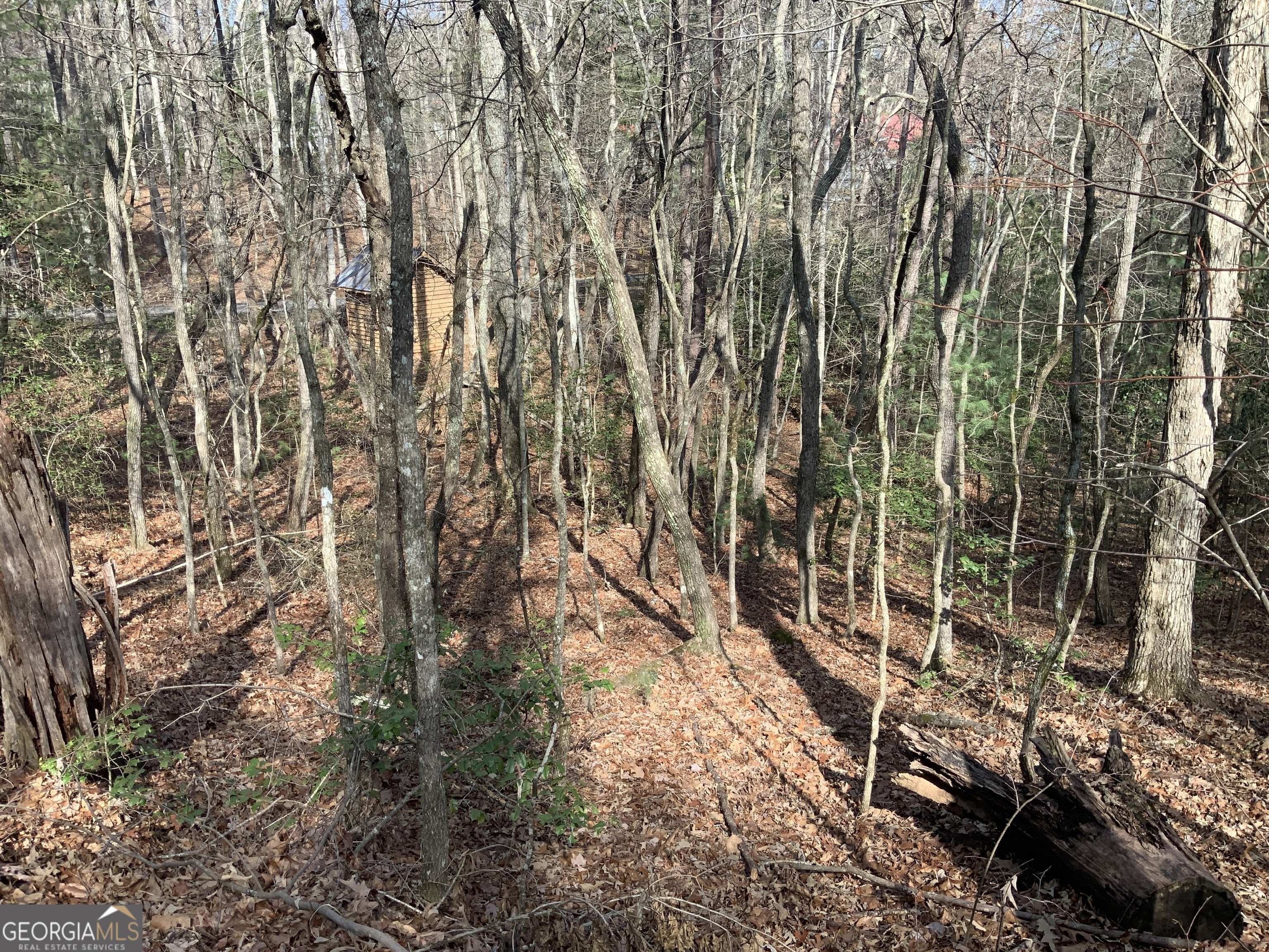 3 Rizzitello Lane Blairsville, GA 30512 - Photo 7 of 7