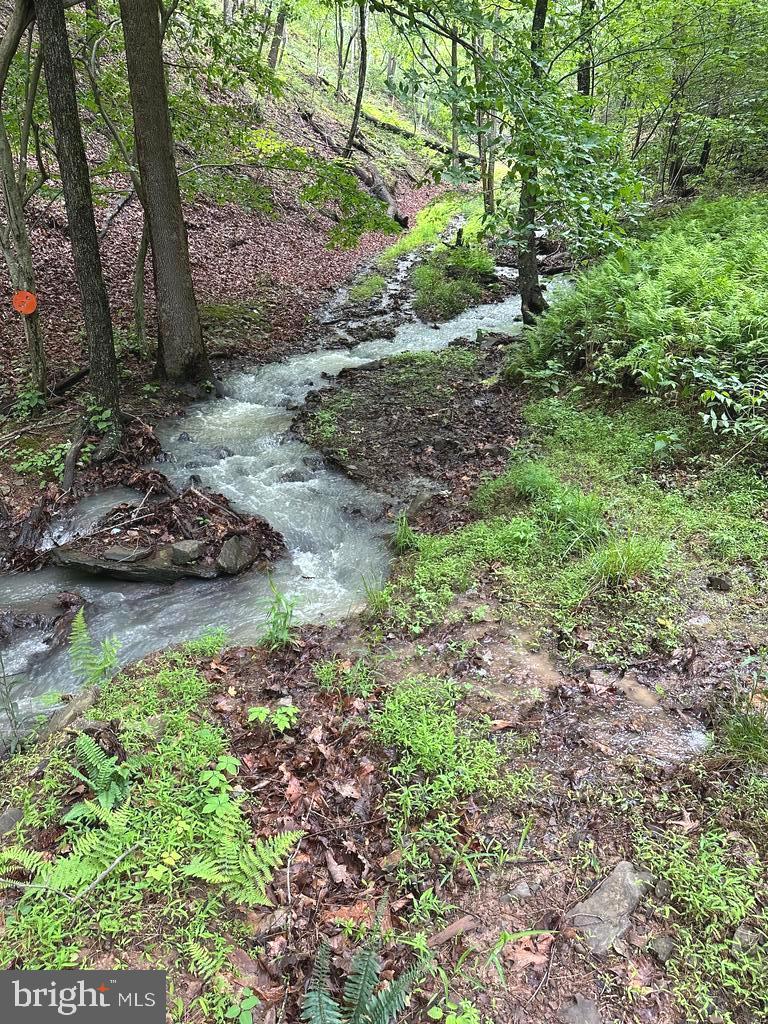 400 Locust Ridge Moorefield, WV 26836 - Photo 12 of 87 Nice stream at the bottom of the property
