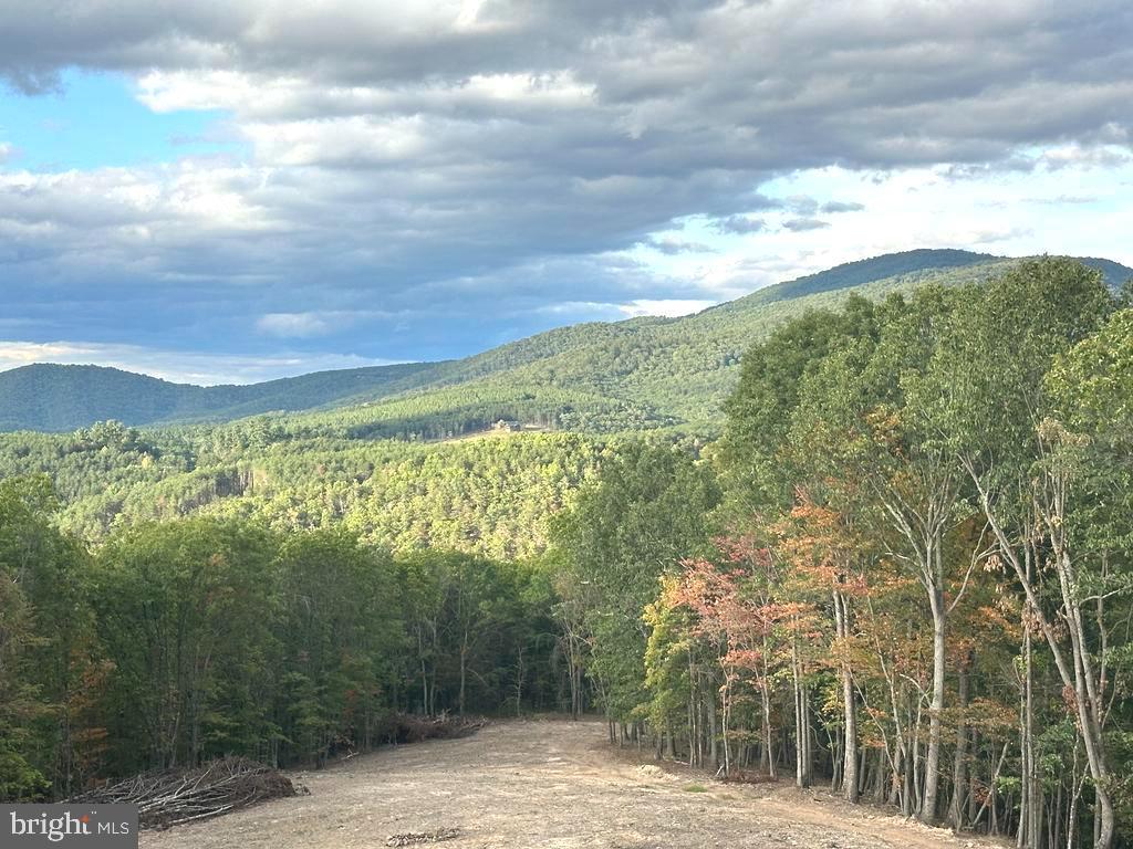 400 Locust Ridge Moorefield, WV 26836 - Photo 13 of 87 a view of a yard with an trees and plants