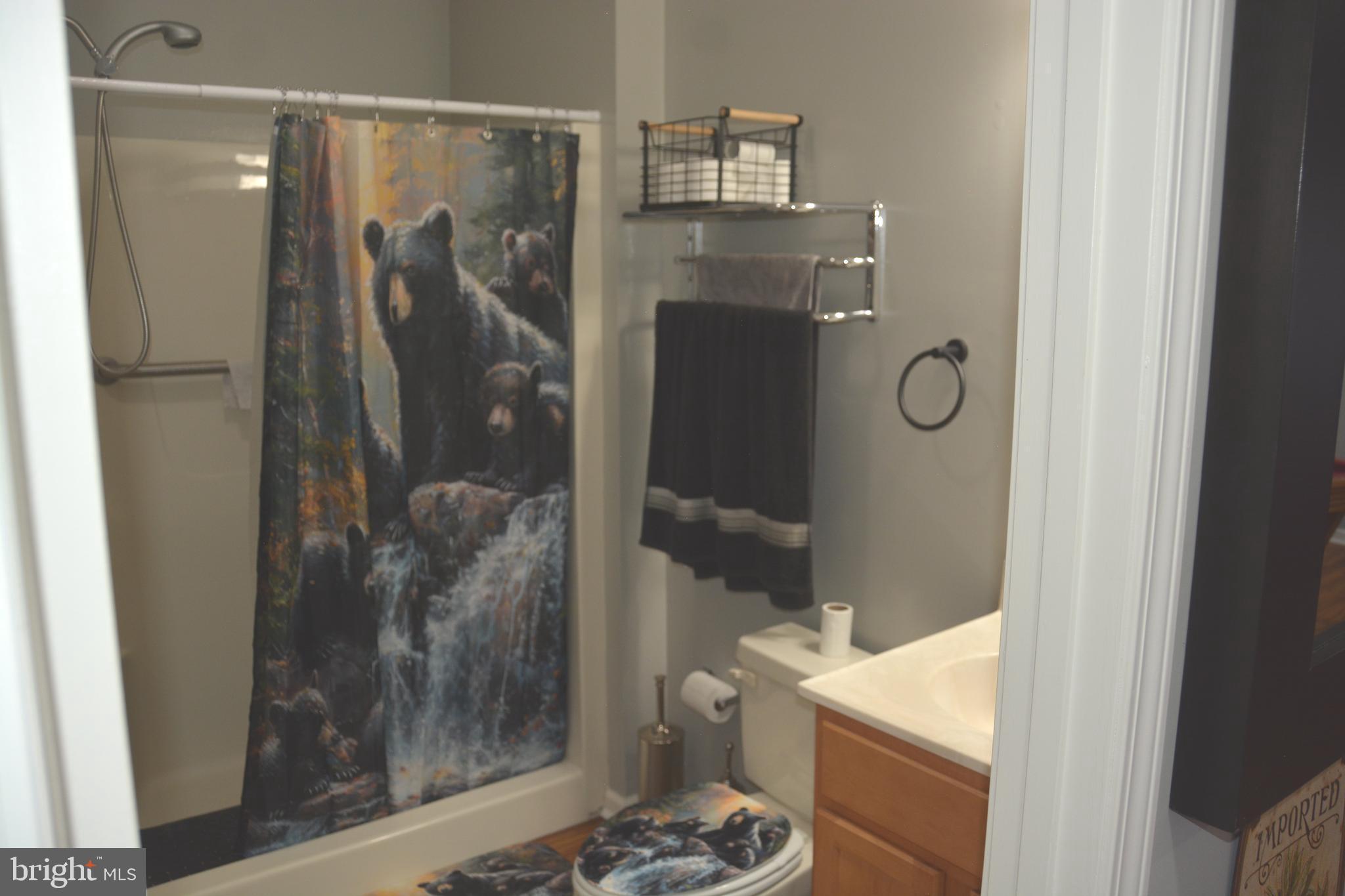 400 Locust Ridge Moorefield, WV 26836 - Photo 48 of 87 a bathroom with a shower and toilet