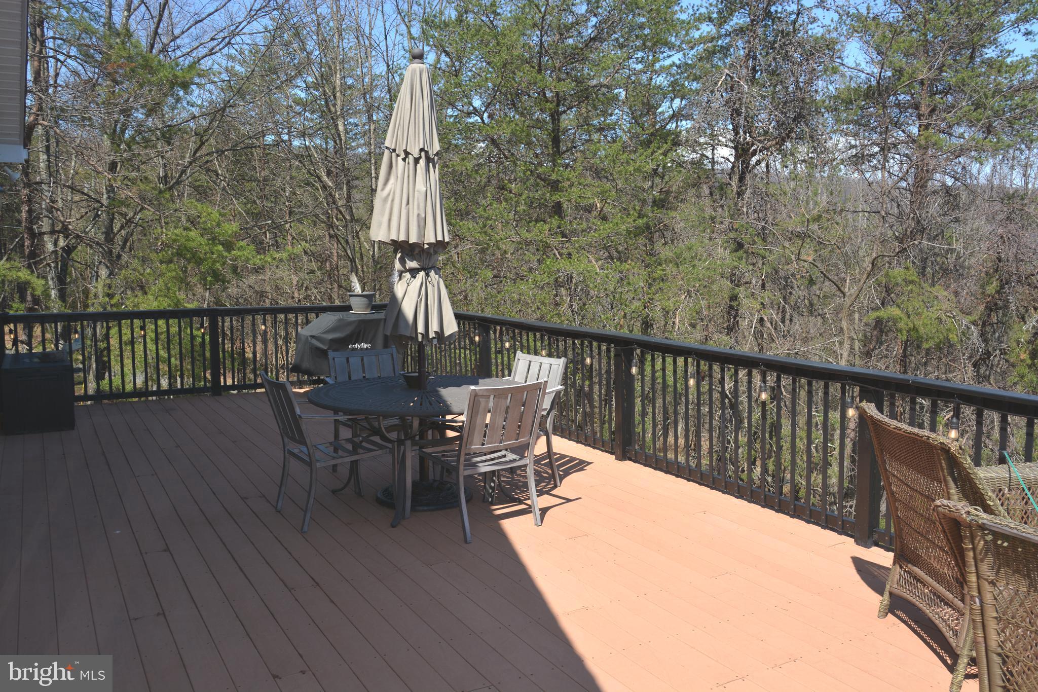 400 Locust Ridge Moorefield, WV 26836 - Photo 60 of 87