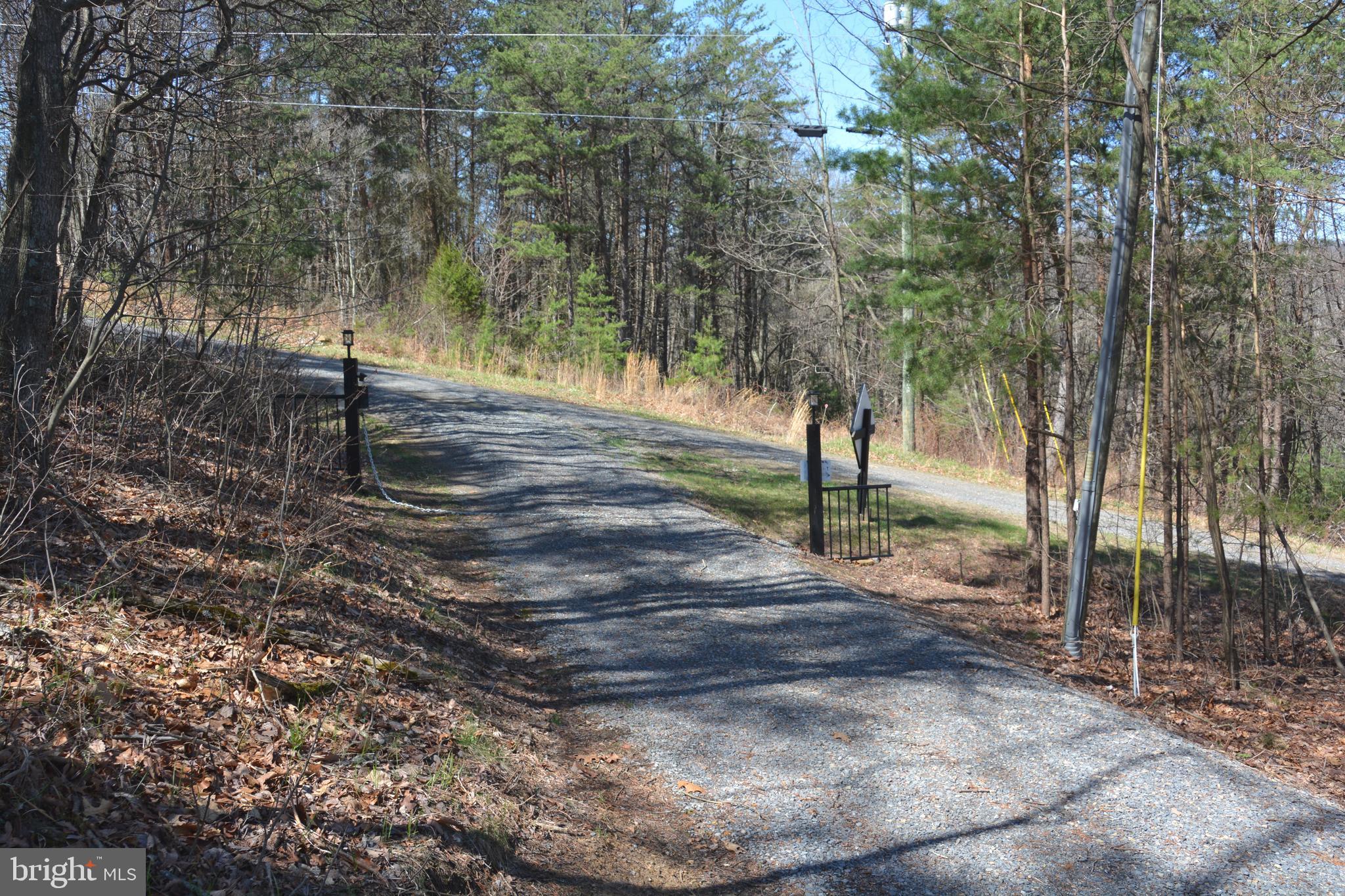 400 Locust Ridge Moorefield, WV 26836 - Photo 74 of 87 a view of a tree in a yard