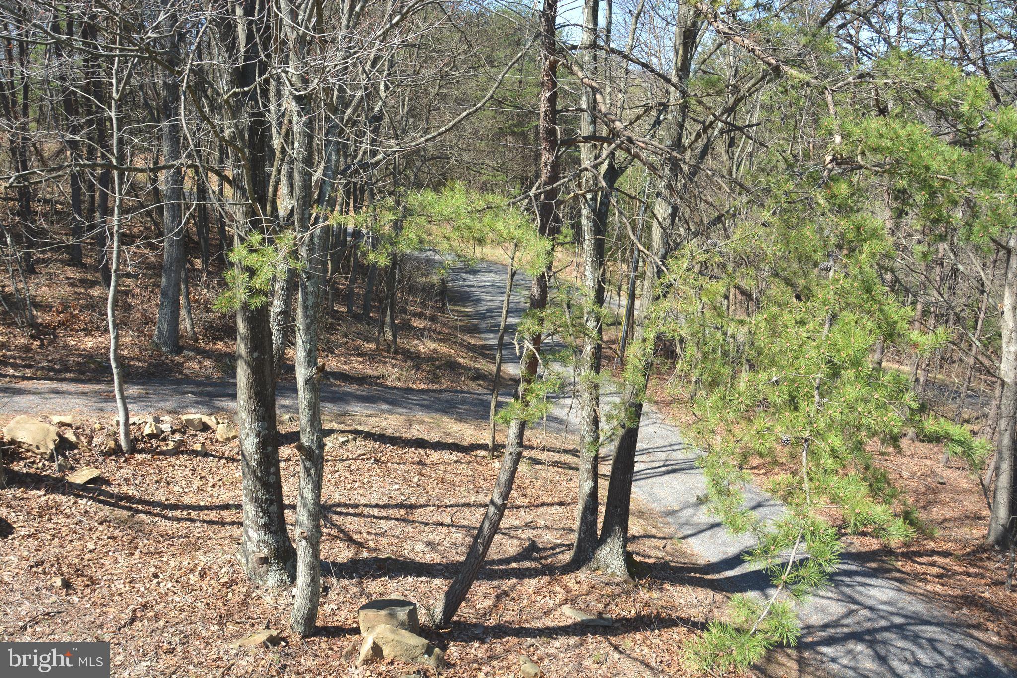 400 Locust Ridge Moorefield, WV 26836 - Photo 75 of 87 a view of a wooden door and tree