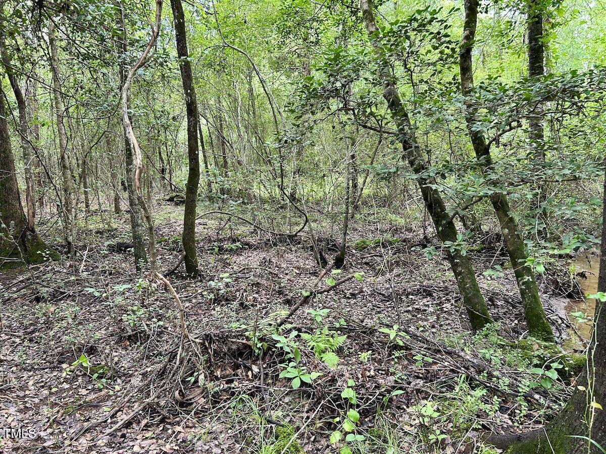 0 Wayside Lane Bunnlevel, NC 28323 - Photo 11 of 40 11