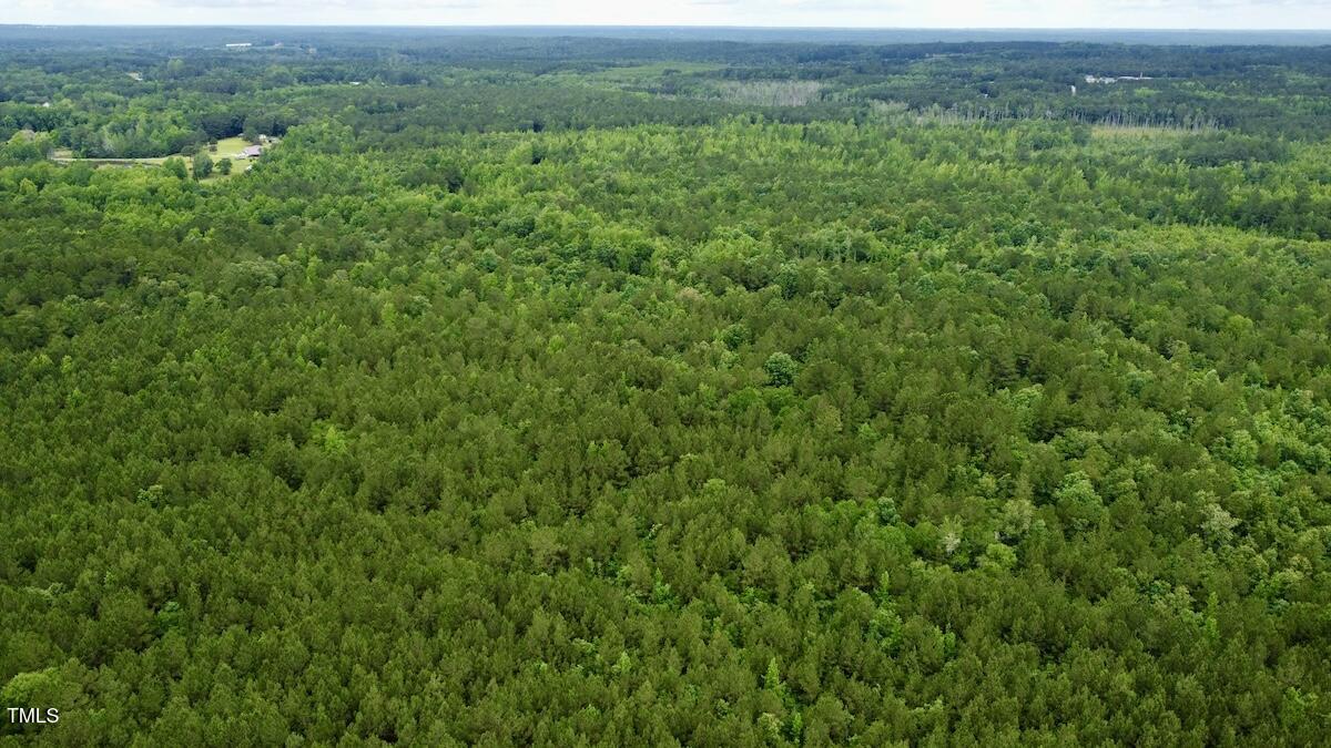 0 Wayside Lane Bunnlevel, NC 28323 - Photo 12 of 40 12