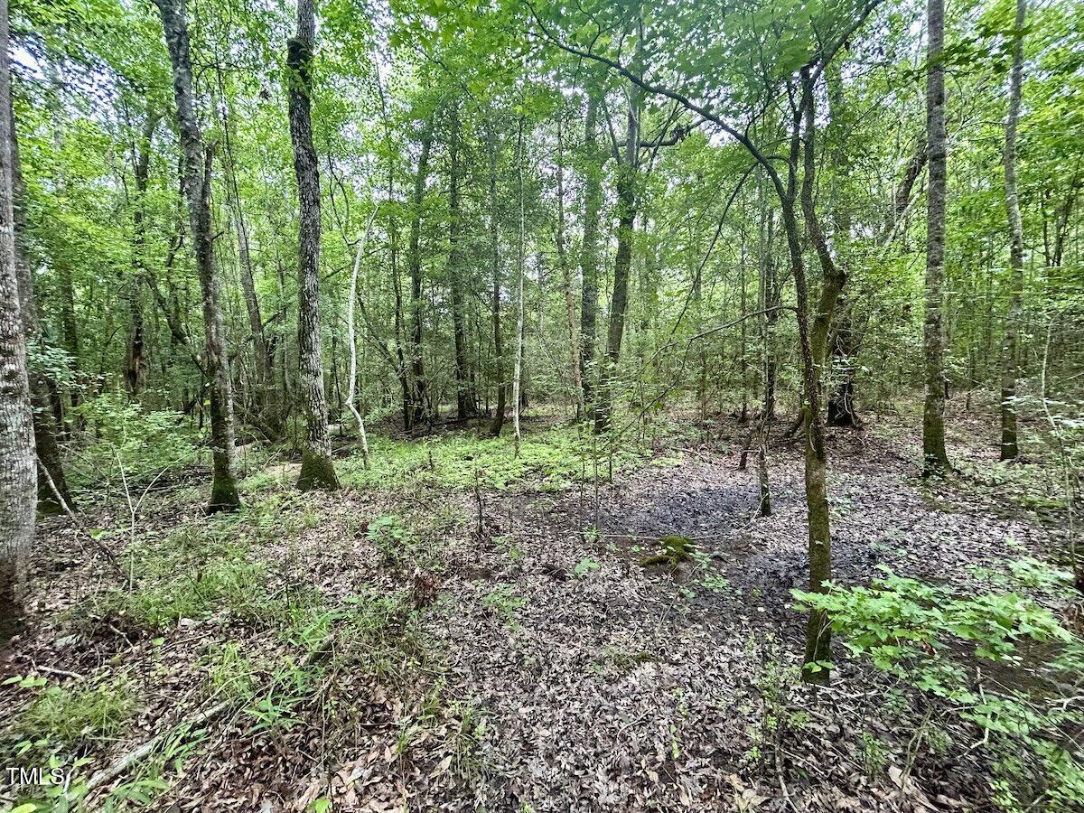 0 Wayside Lane Bunnlevel, NC 28323 - Photo 13 of 40 13