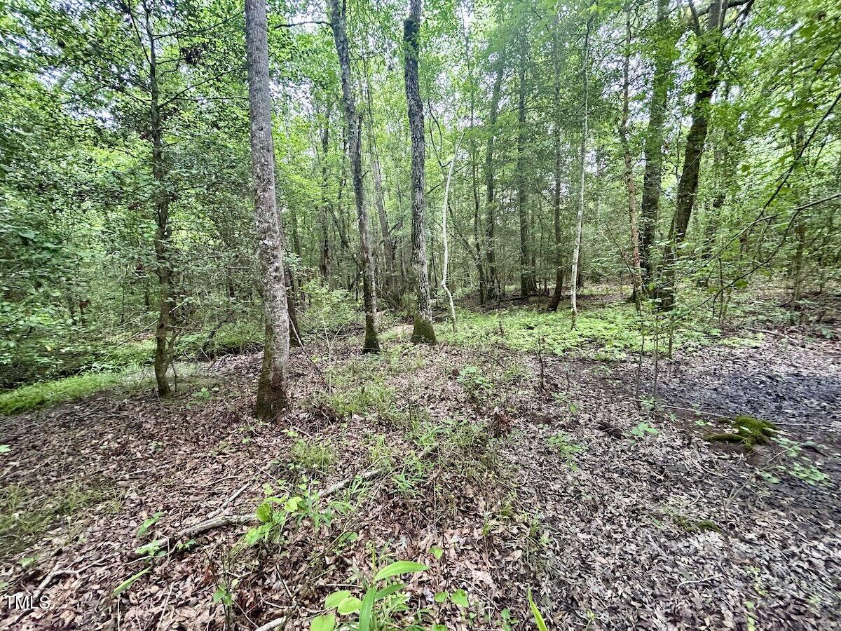 0 Wayside Lane Bunnlevel, NC 28323 - Photo 15 of 40 15