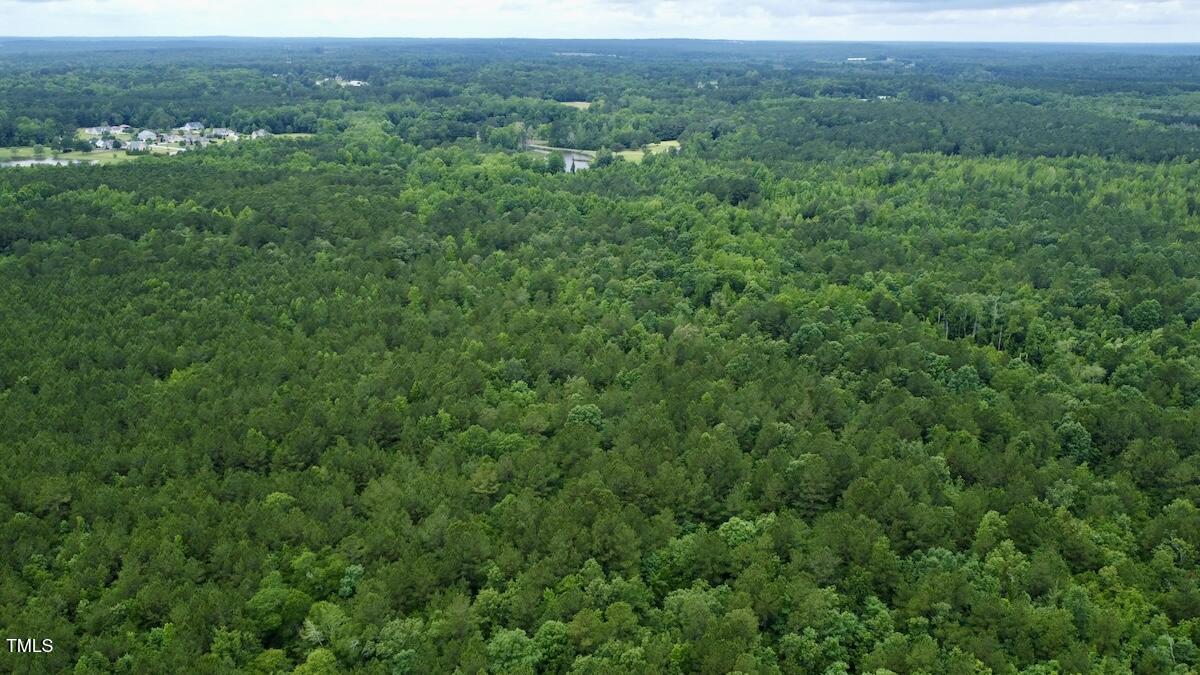 0 Wayside Lane Bunnlevel, NC 28323 - Photo 16 of 40 16