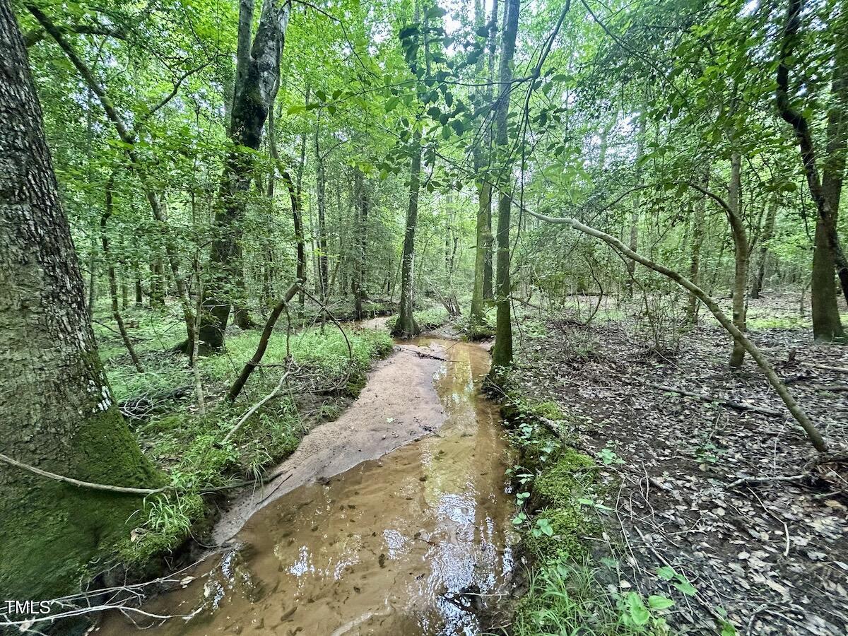 0 Wayside Lane Bunnlevel, NC 28323 - Photo 17 of 40 17