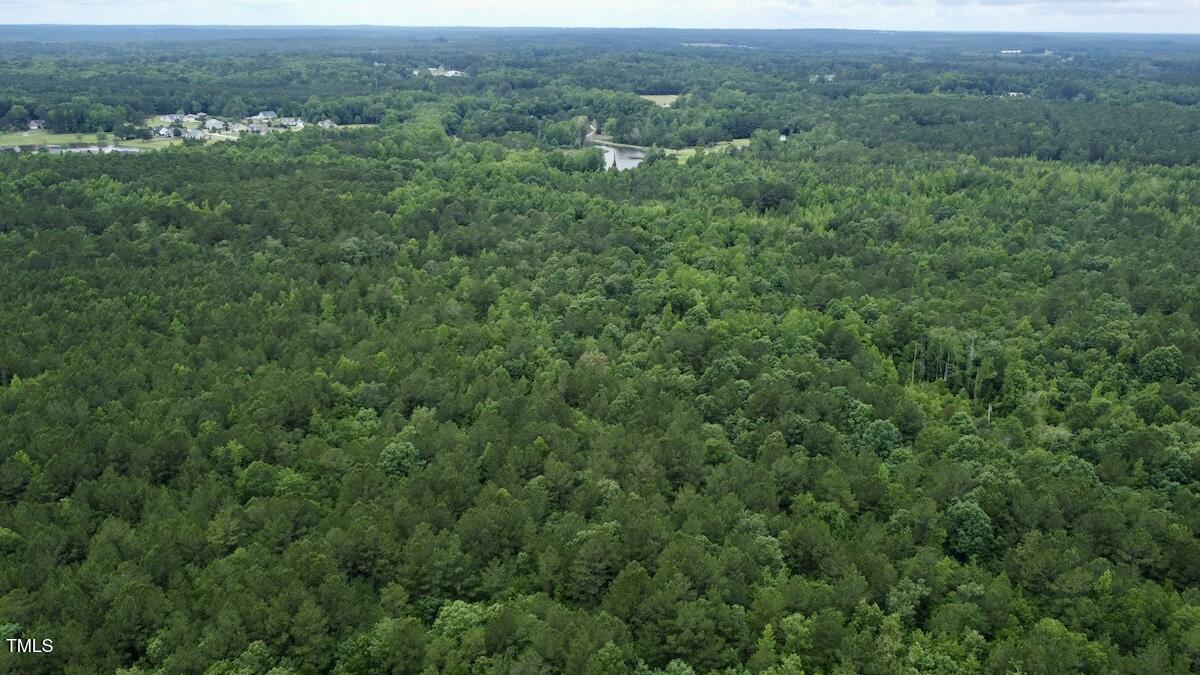 0 Wayside Lane Bunnlevel, NC 28323 - Photo 18 of 40 18