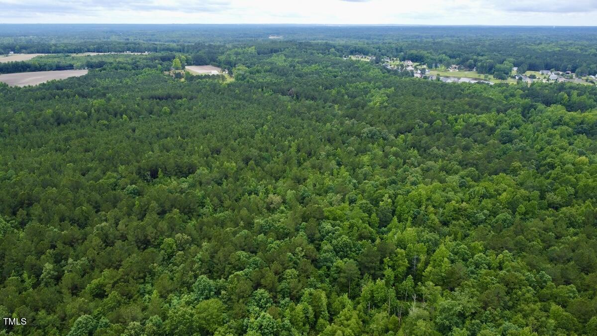 0 Wayside Lane Bunnlevel, NC 28323 - Photo 20 of 40 20