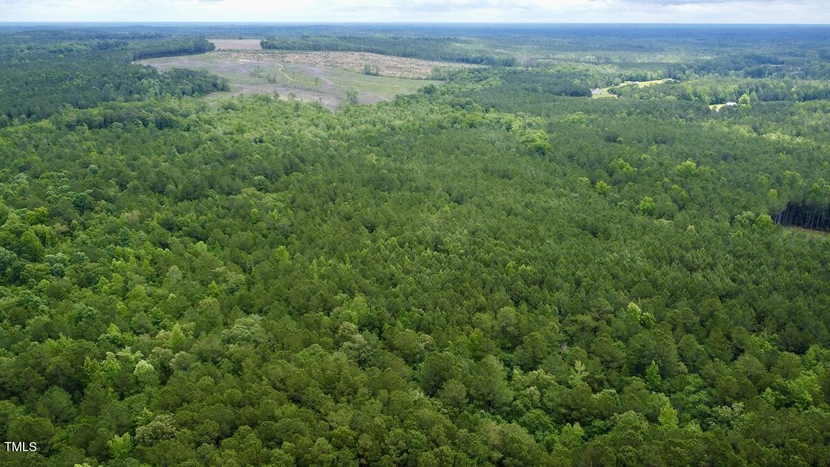 0 Wayside Lane Bunnlevel, NC 28323 - Photo 2 of 40 2