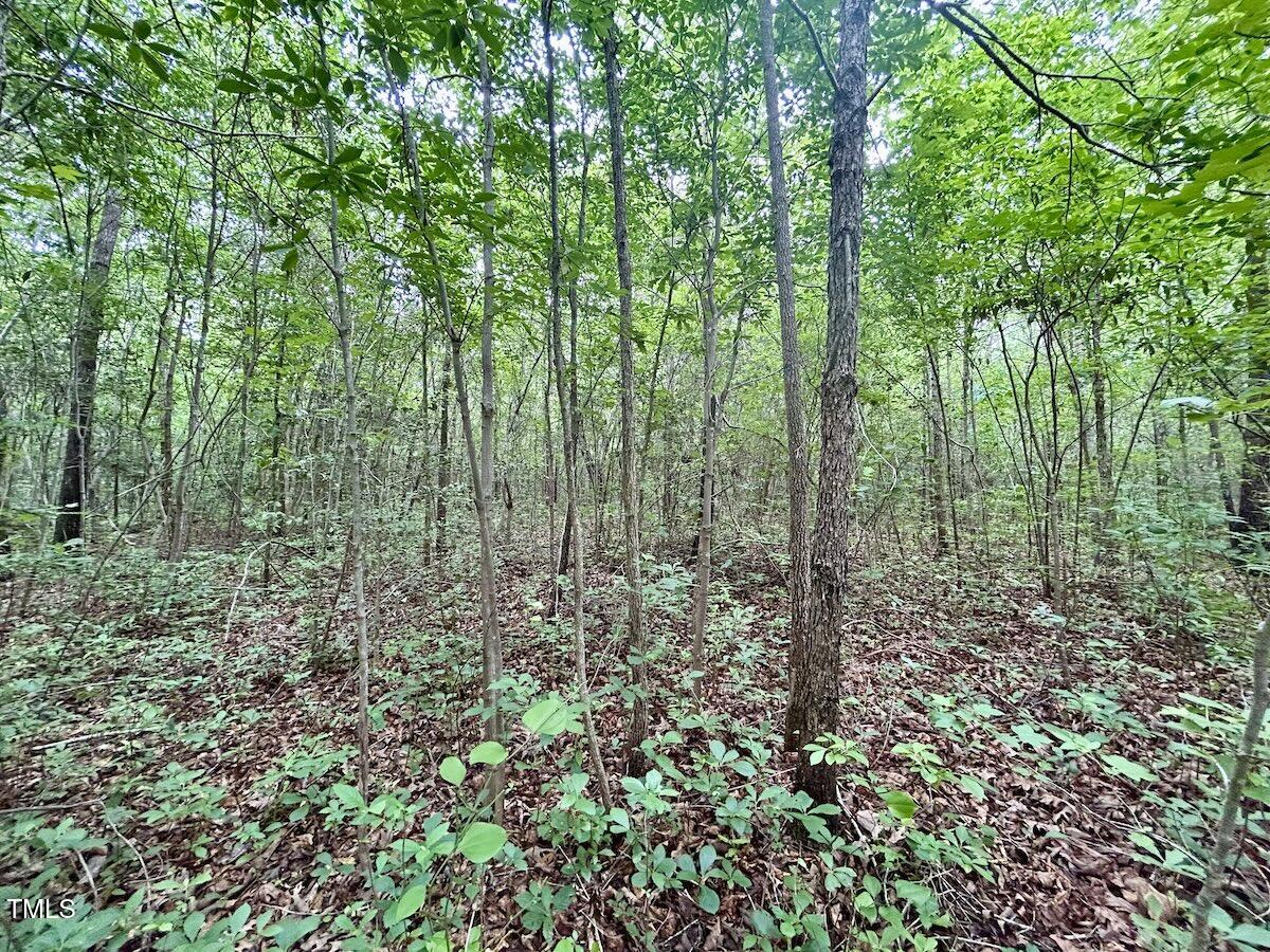 0 Wayside Lane Bunnlevel, NC 28323 - Photo 21 of 40 21