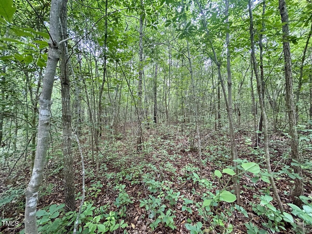 0 Wayside Lane Bunnlevel, NC 28323 - Photo 23 of 40 23