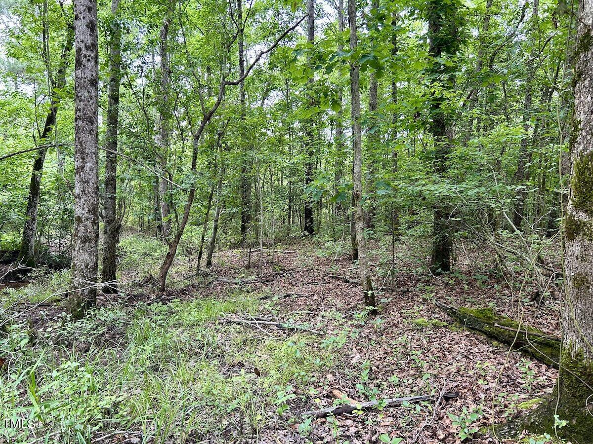 0 Wayside Lane Bunnlevel, NC 28323 - Photo 24 of 40 24