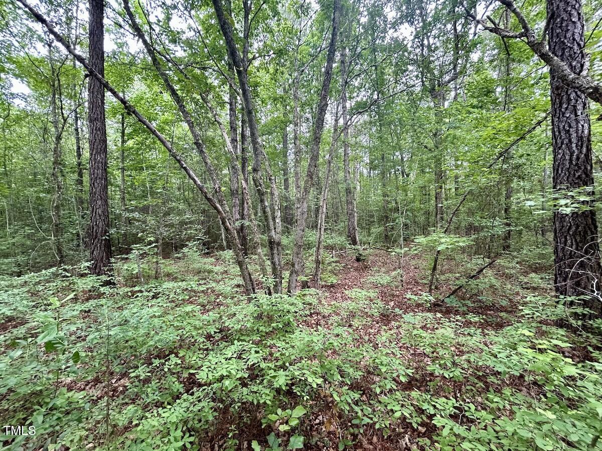 0 Wayside Lane Bunnlevel, NC 28323 - Photo 25 of 40 25