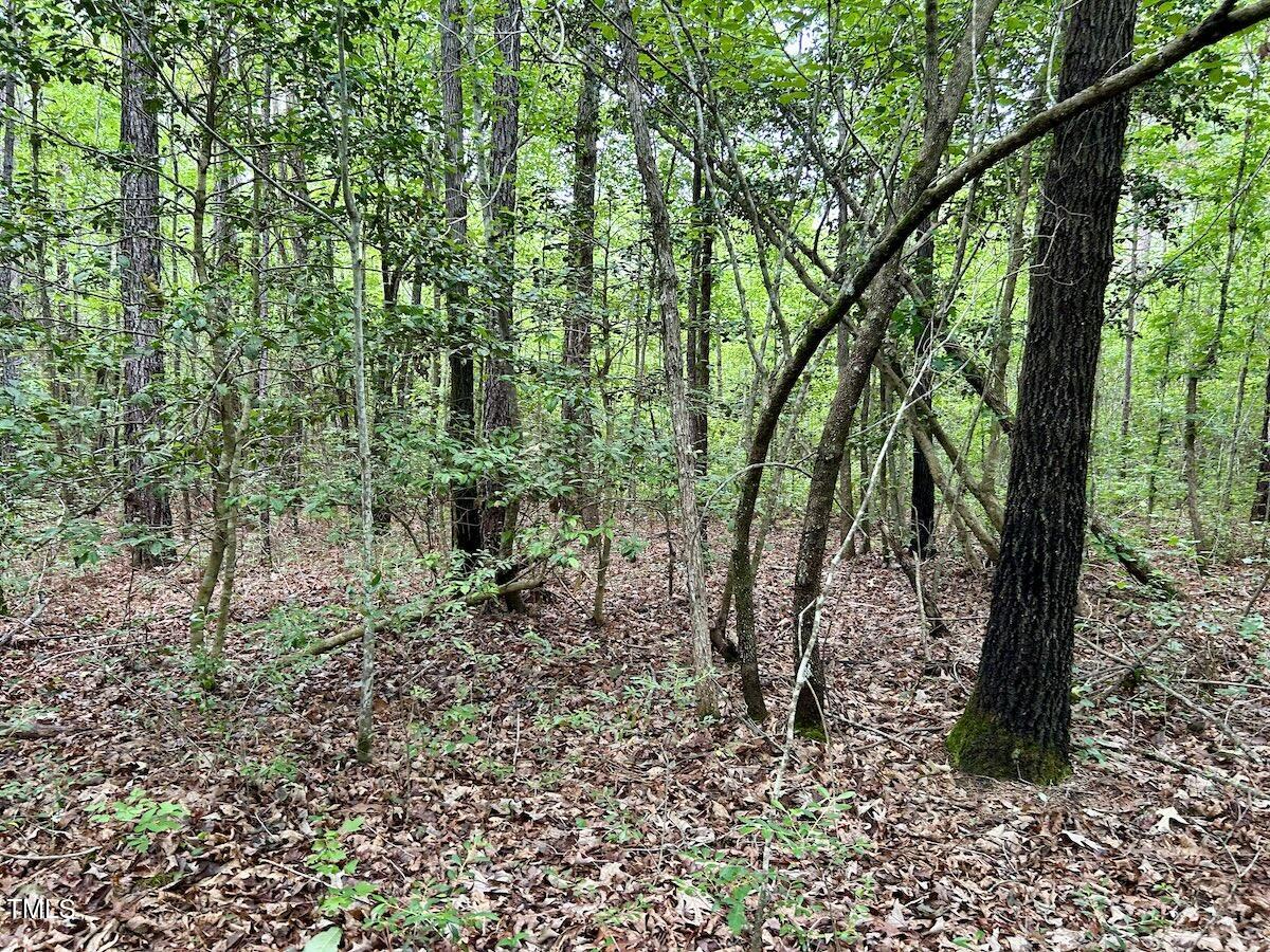 0 Wayside Lane Bunnlevel, NC 28323 - Photo 26 of 40 26