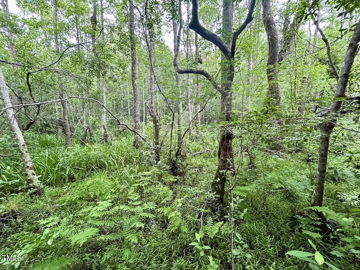 0 Wayside Lane Bunnlevel, NC 28323 - Photo 27 of 40 27