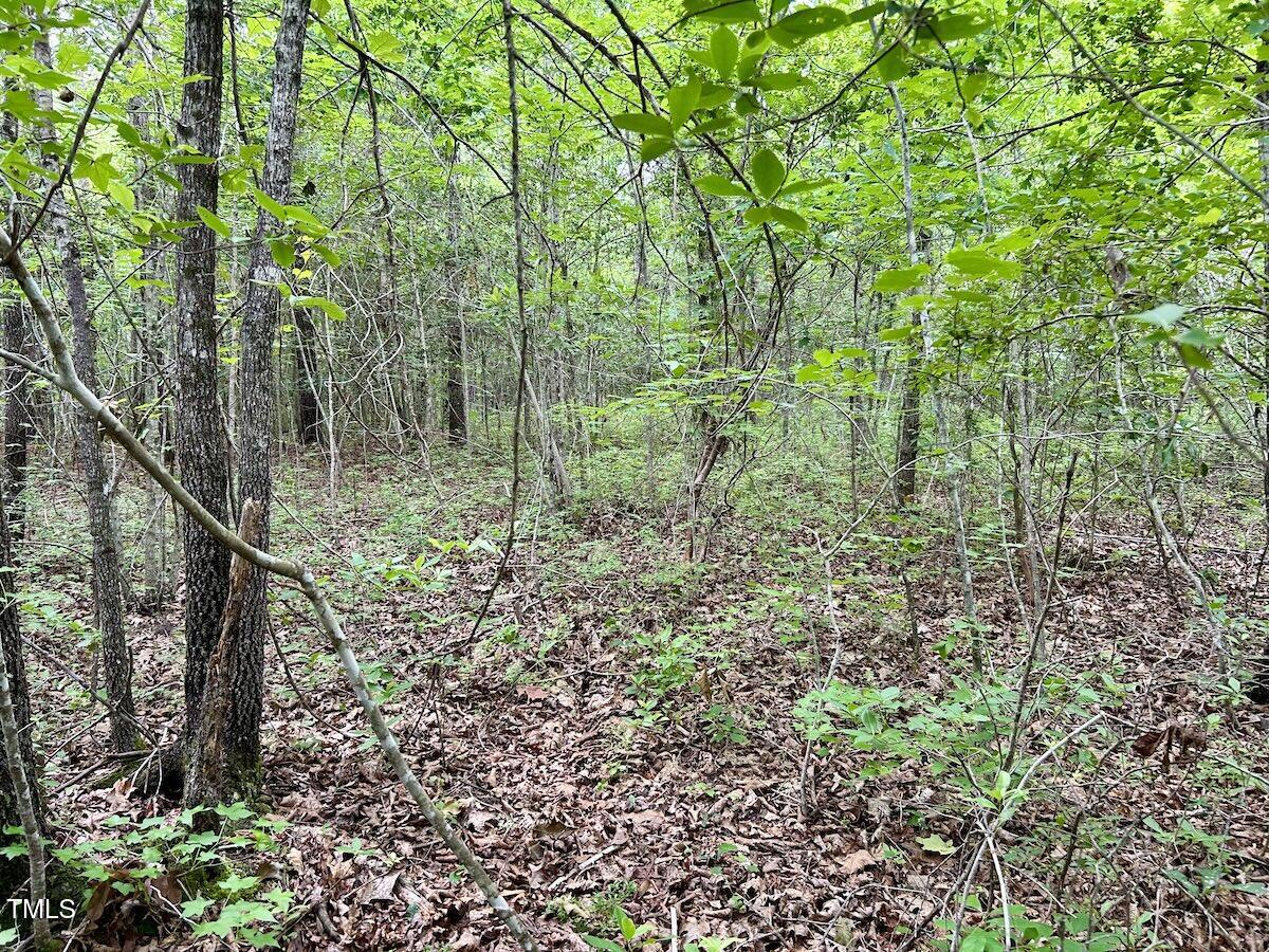 0 Wayside Lane Bunnlevel, NC 28323 - Photo 28 of 40 28