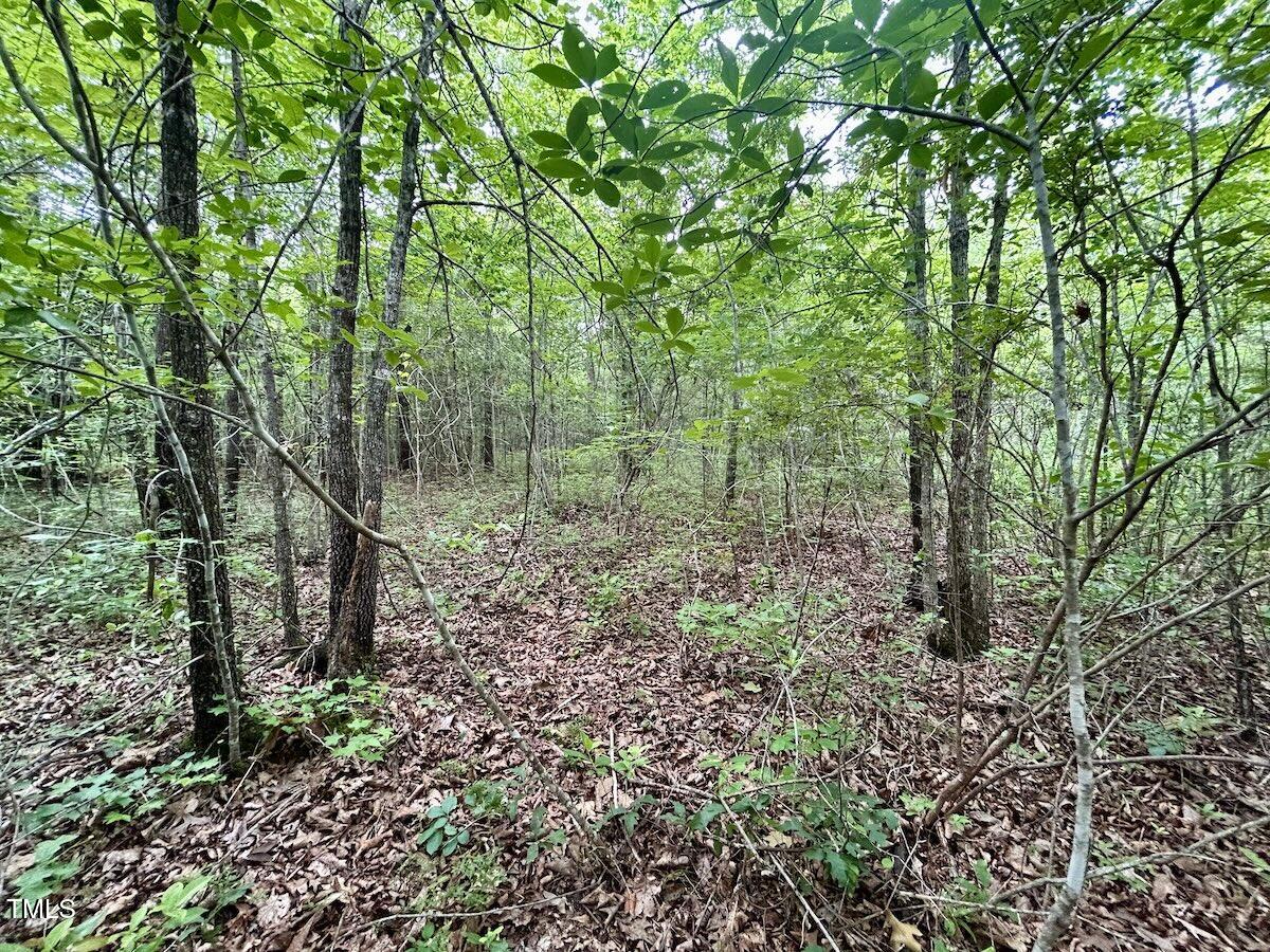 0 Wayside Lane Bunnlevel, NC 28323 - Photo 29 of 40 29