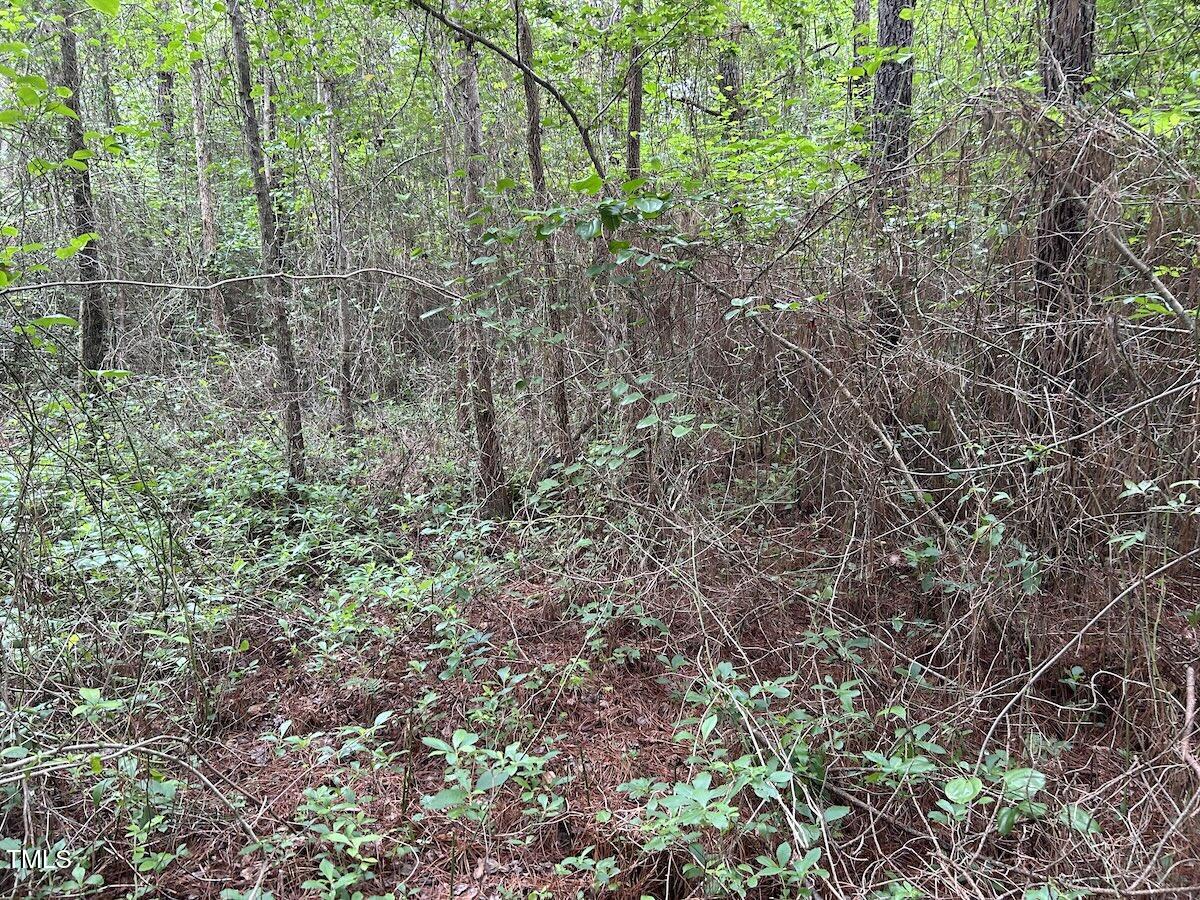 0 Wayside Lane Bunnlevel, NC 28323 - Photo 30 of 40 30