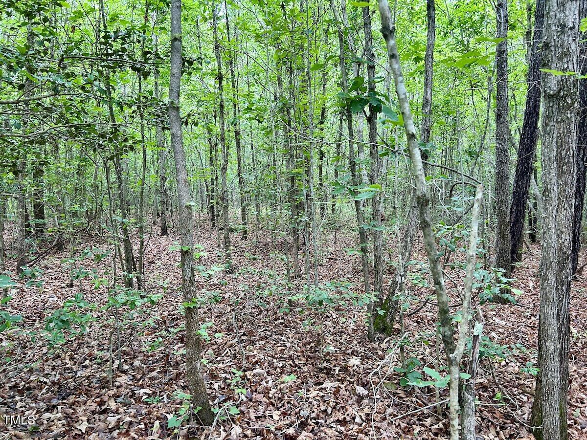 0 Wayside Lane Bunnlevel, NC 28323 - Photo 3 of 40 3