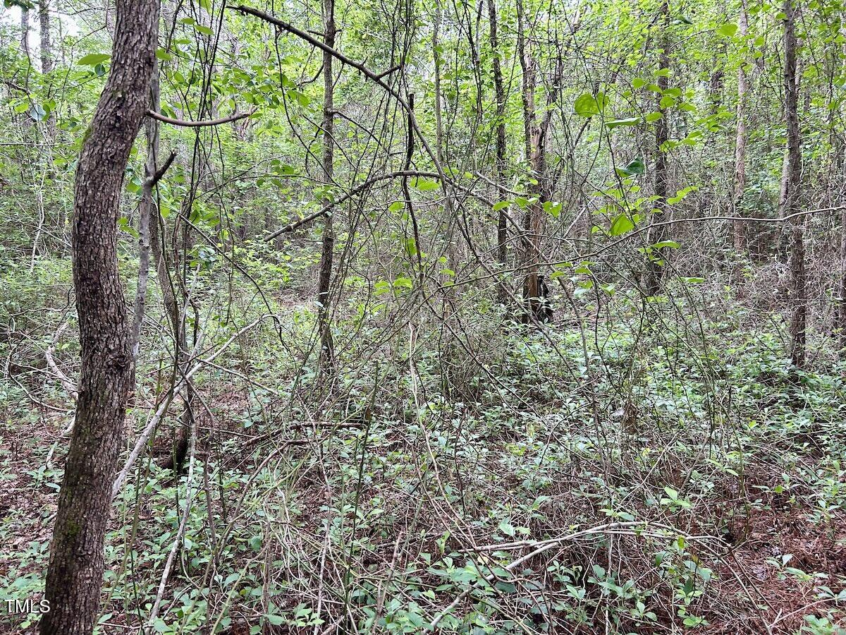 0 Wayside Lane Bunnlevel, NC 28323 - Photo 31 of 40 31