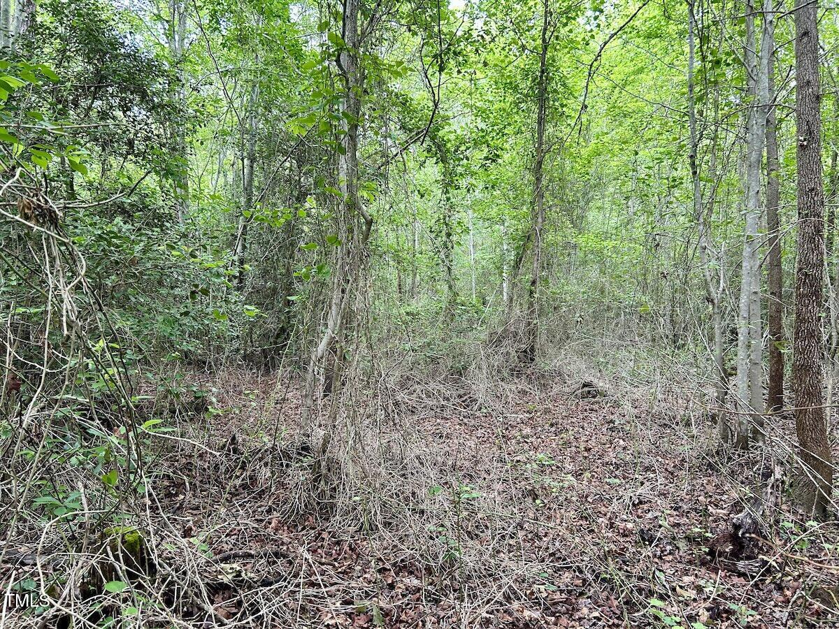 0 Wayside Lane Bunnlevel, NC 28323 - Photo 32 of 40 32