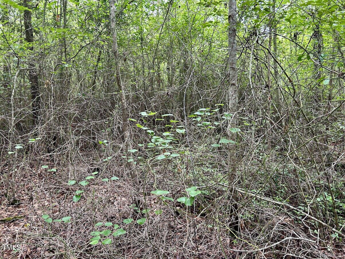 0 Wayside Lane Bunnlevel, NC 28323 - Photo 33 of 40 33