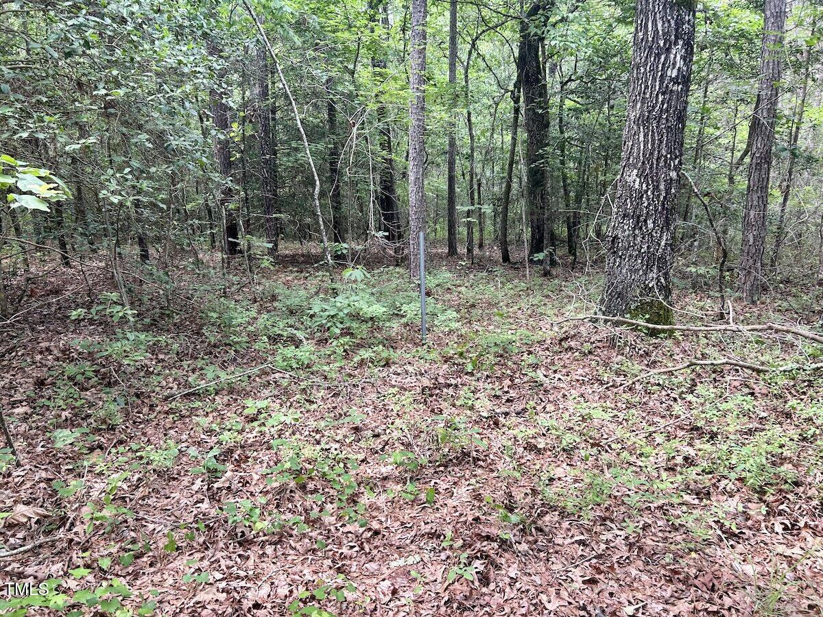 0 Wayside Lane Bunnlevel, NC 28323 - Photo 34 of 40 34