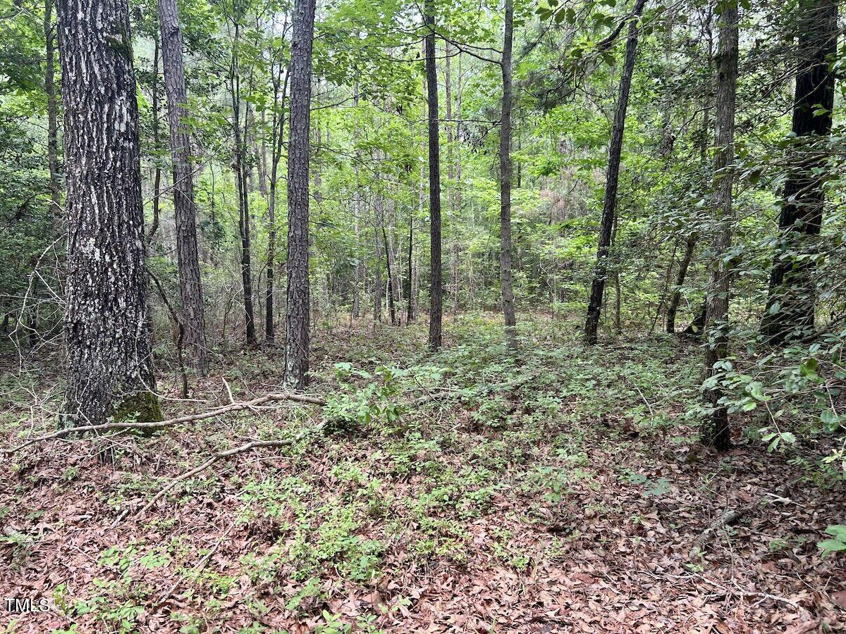 0 Wayside Lane Bunnlevel, NC 28323 - Photo 35 of 40 35