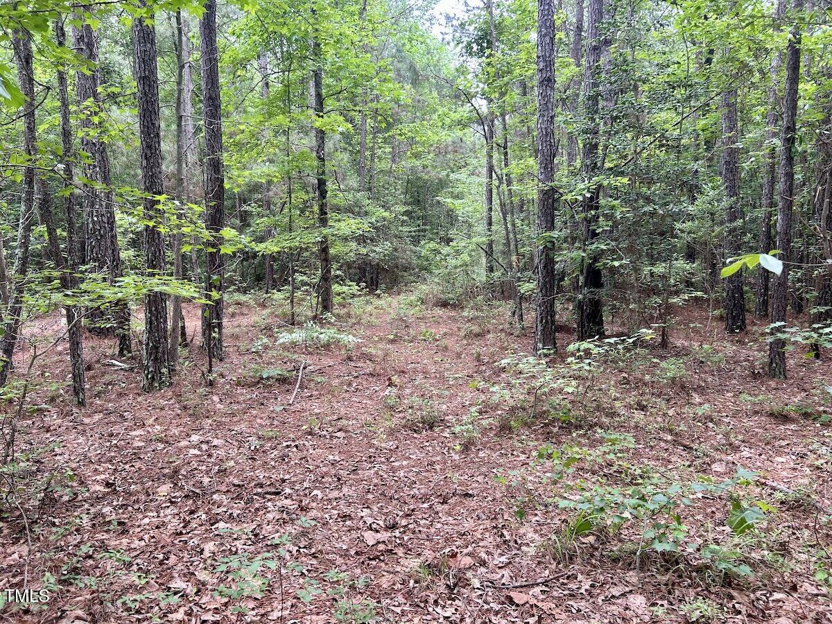 0 Wayside Lane Bunnlevel, NC 28323 - Photo 36 of 40 36