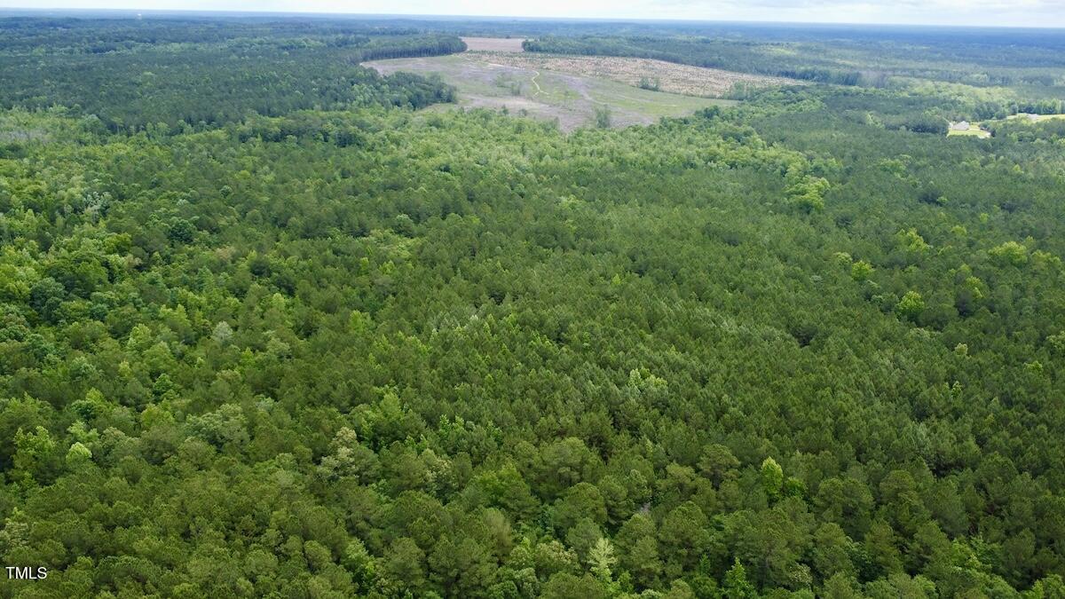 0 Wayside Lane Bunnlevel, NC 28323 - Photo 4 of 40 4