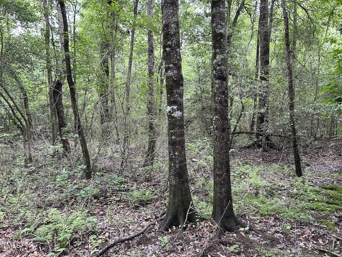 0 Wayside Lane Bunnlevel, NC 28323 - Photo 5 of 40 5