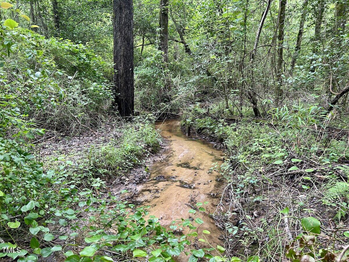 0 Wayside Lane Bunnlevel, NC 28323 - Photo 7 of 40 7