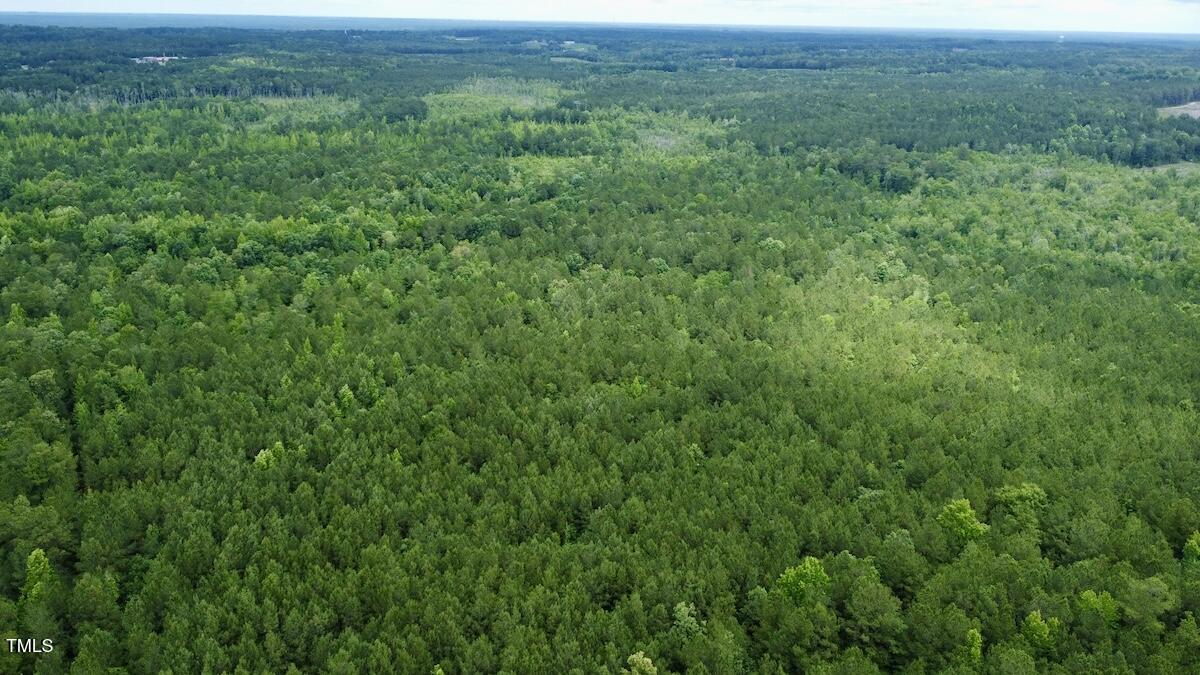 0 Wayside Lane Bunnlevel, NC 28323 - Photo 8 of 40 8