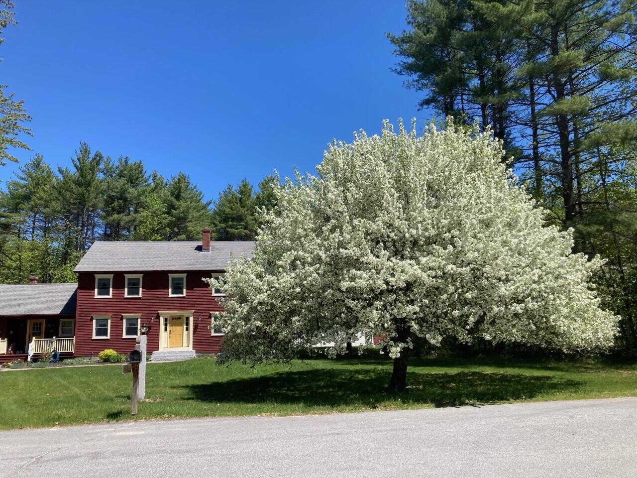 1 Rivermeadow Circle Standish, ME 04085 - Photo 10 of 60 river meadows blooming tree 2