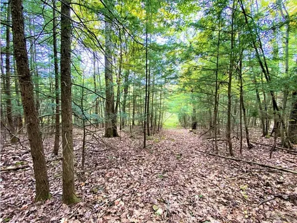 $46,500 | Tinkertown Road, Addison, NY 14801