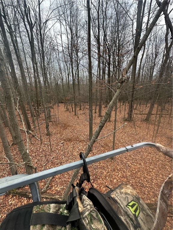 Tinkertown Road Addison, NY 14801 - Photo 11 of 50