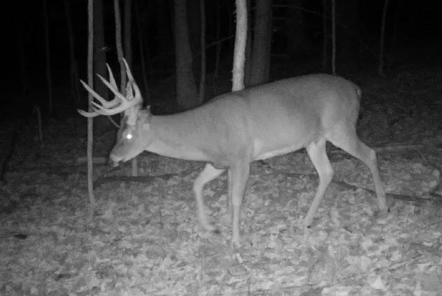 $50,000 | Tinkertown Road, Addison, NY 14801