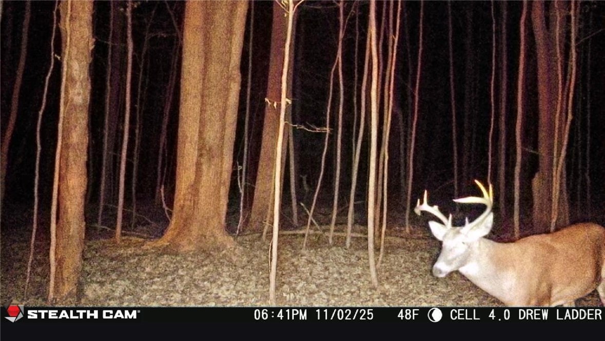 Tinkertown Road Addison, NY 14801 - Photo 13 of 50