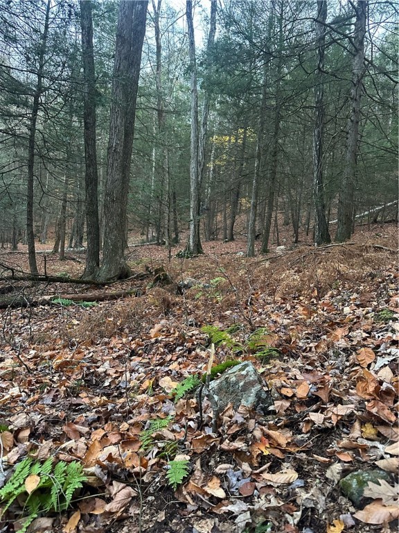 Tinkertown Road Addison, NY 14801 - Photo 15 of 50