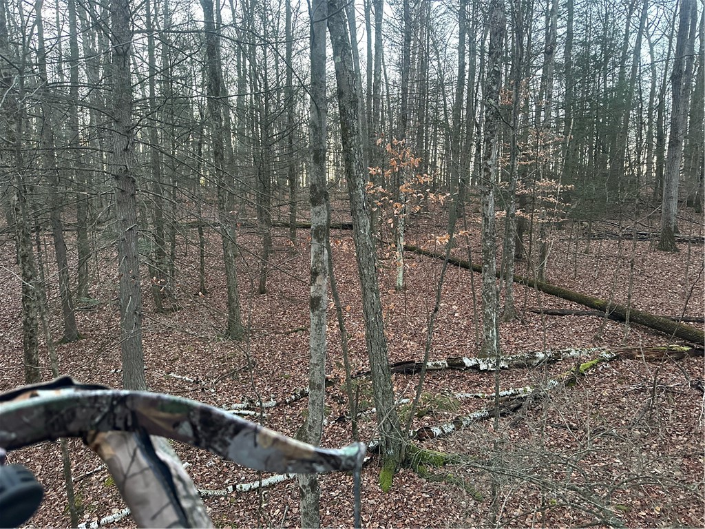 Tinkertown Road Addison, NY 14801 - Photo 16 of 50