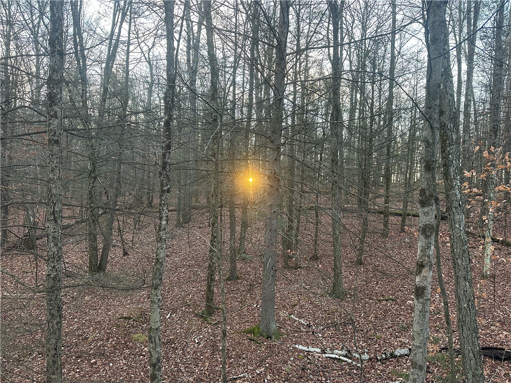 Tinkertown Road Addison, NY 14801 - Photo 17 of 50
