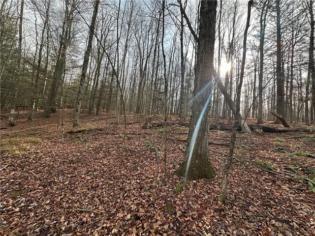 $50,000 | Tinkertown Road, Addison, NY 14801